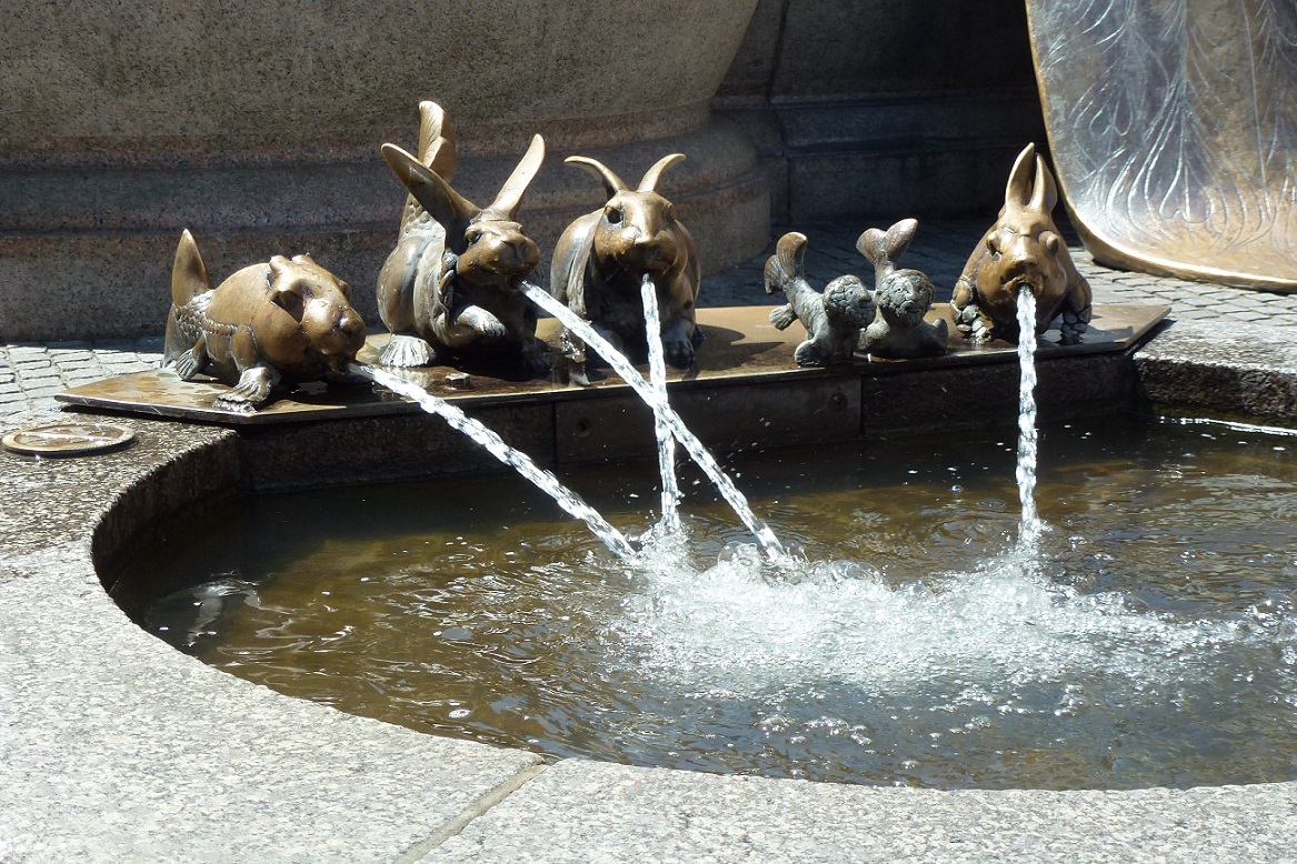 Bewegung und Wasseranwendung